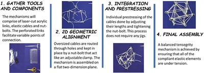 Compact Shape Morphing Tensegrity Robots Capable of Locomotion